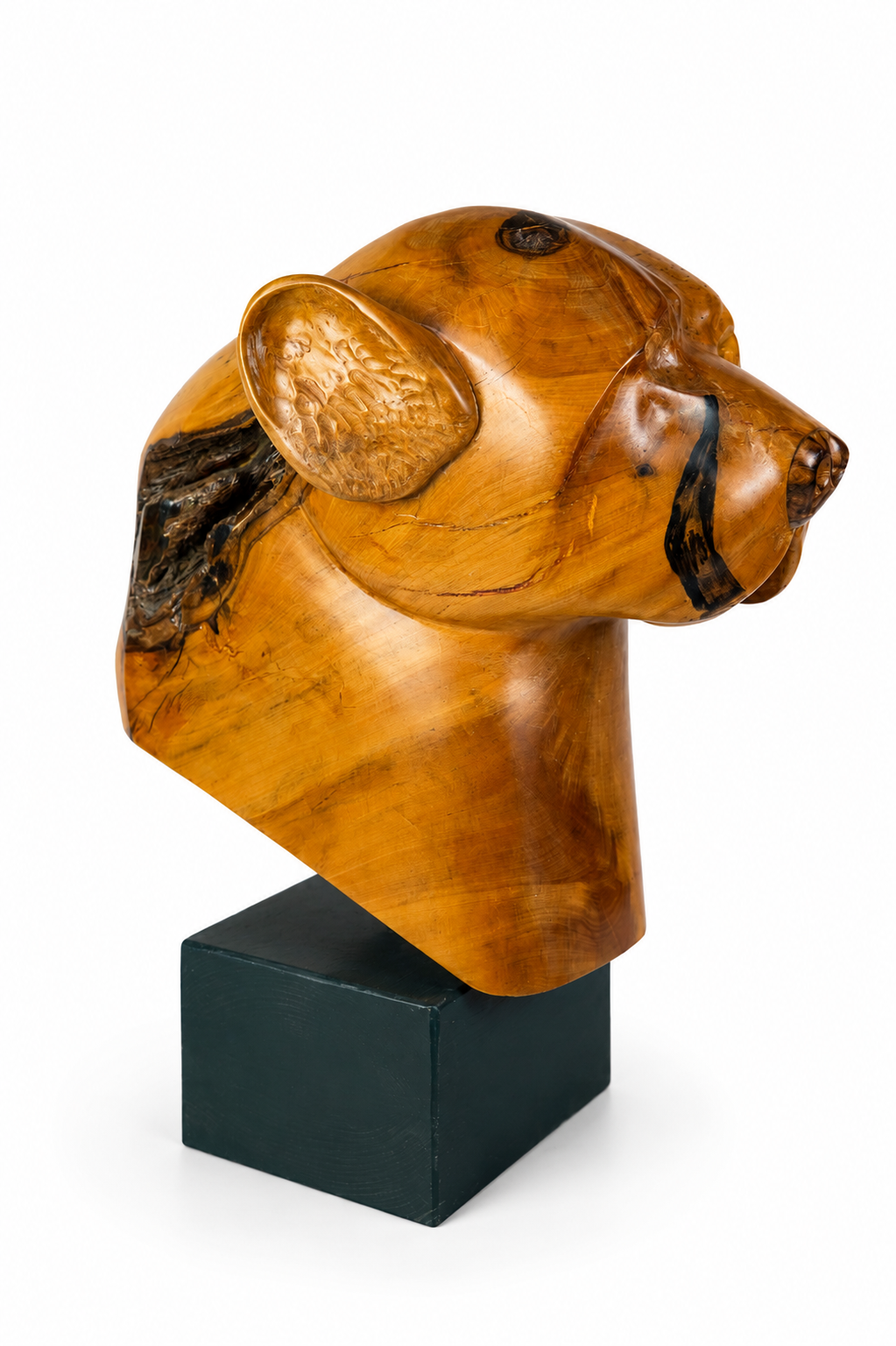 "Cheetah" wooden sculpture by Gert Boshoff - Image 2