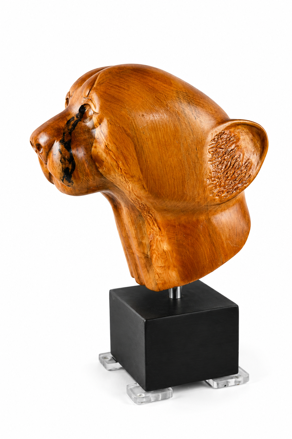"Cheetah" wooden sculpture by Gert Boshoff - Image 4