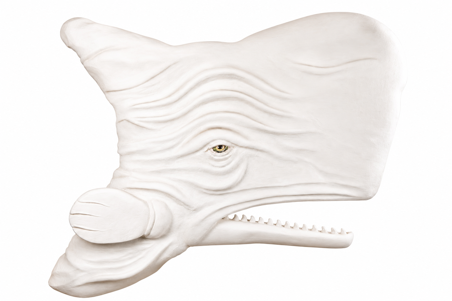 "Big Head" Whale Sculpture by Gert Boschoff - Image 2