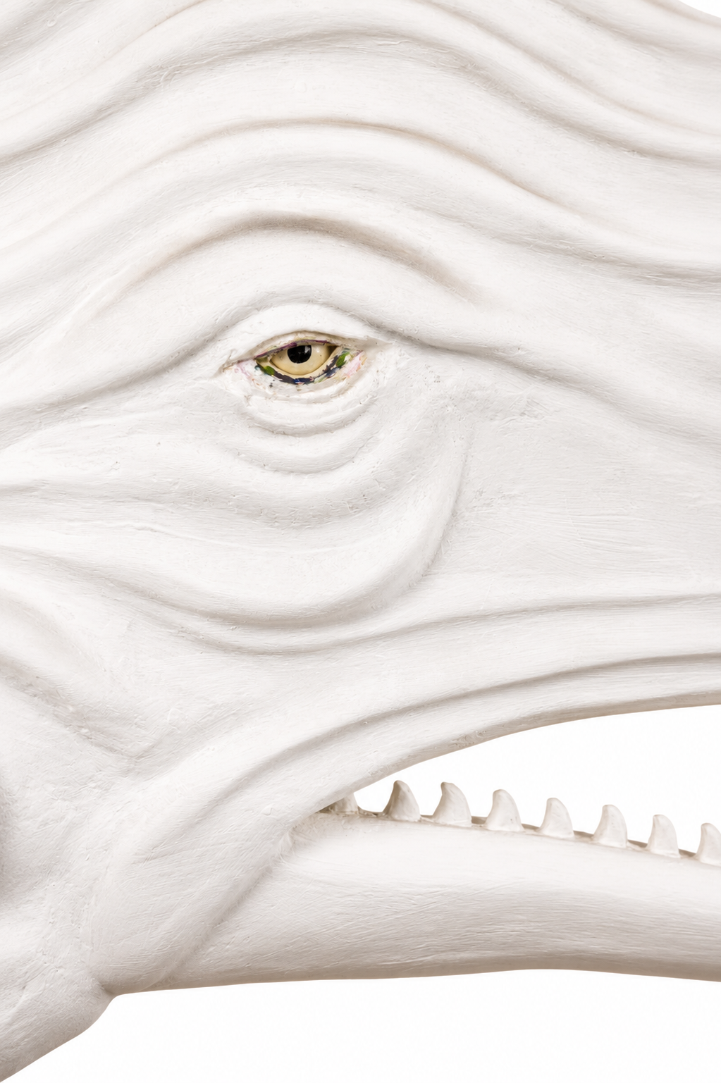 "Big Head" Whale Sculpture by Gert Boschoff - Image 3