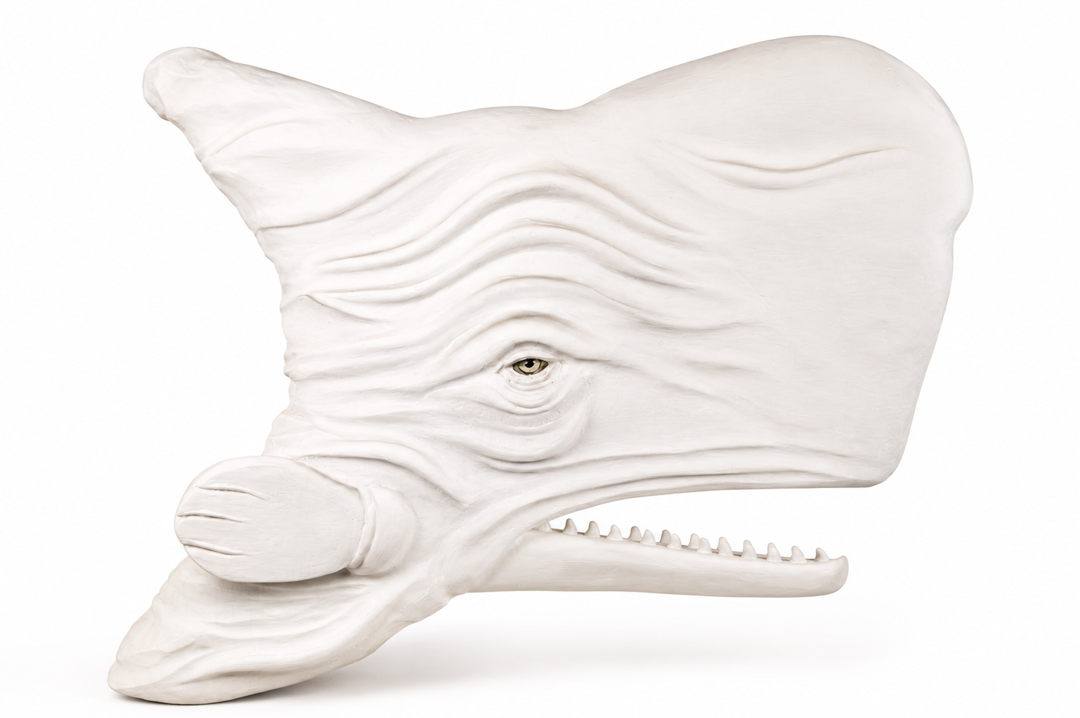 "Big Head" Whale Sculpture by Gert Boschoff - Image 5